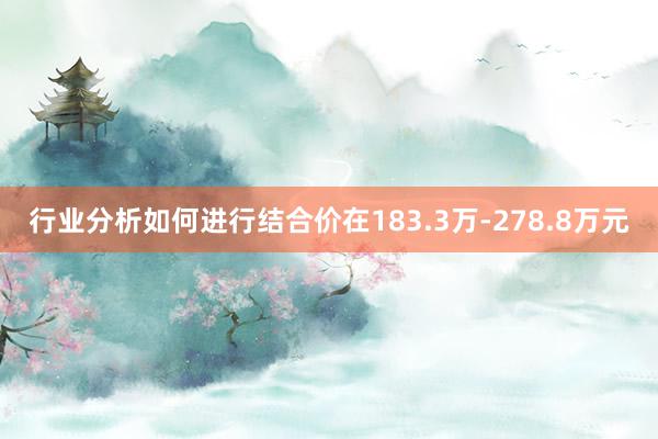 行业分析如何进行结合价在183.3万-278.8万元