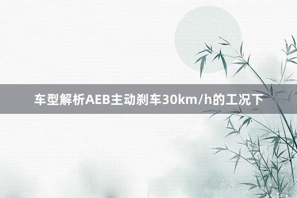 车型解析AEB主动刹车30km/h的工况下