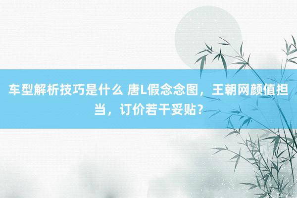 车型解析技巧是什么 唐L假念念图，王朝网颜值担当，订价若干妥贴？