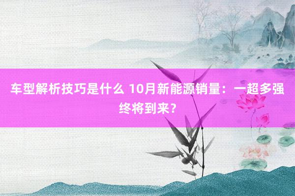 车型解析技巧是什么 10月新能源销量：一超多强终将到来？