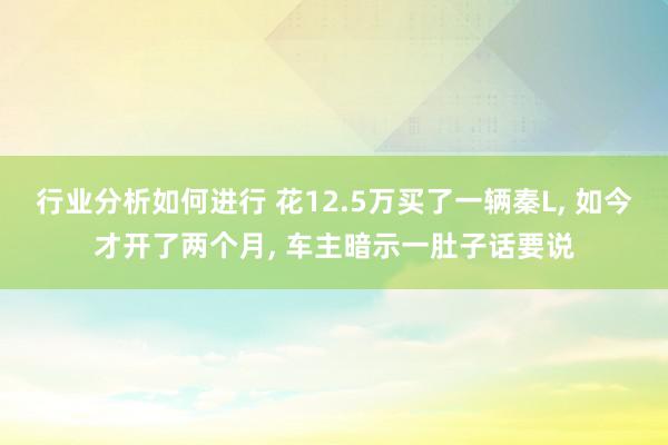 行业分析如何进行 花12.5万买了一辆秦L, 如今才开了两个月, 车主暗示一肚子话要说