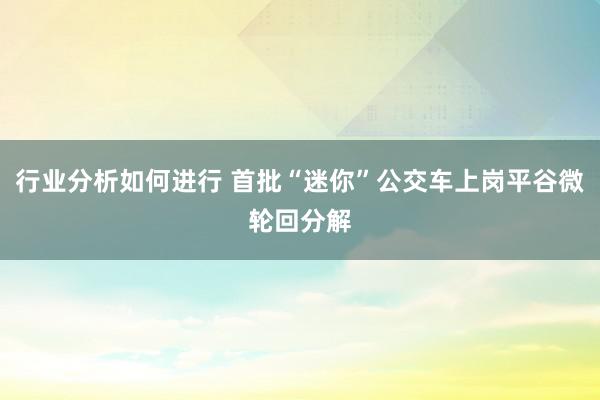 行业分析如何进行 首批“迷你”公交车上岗平谷微轮回分解