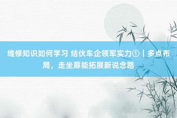 维修知识如何学习 结伙车企领军实力①｜多点布局，走坐蓐能拓展新说念路