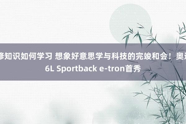 维修知识如何学习 想象好意思学与科技的完竣和会！奥迪Q6L Sportback e-tron首秀