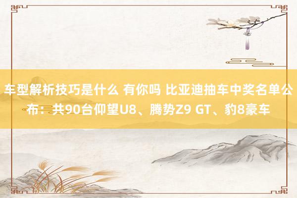 车型解析技巧是什么 有你吗 比亚迪抽车中奖名单公布：共90台仰望U8、腾势Z9 GT、豹8豪车