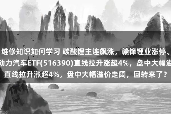 维修知识如何学习 碳酸锂主连飙涨，赣锋锂业涨停、宁德期间涨3%，新动力汽车ETF(516390)直线拉升涨超4%，盘中大幅溢价走阔，回转来了？