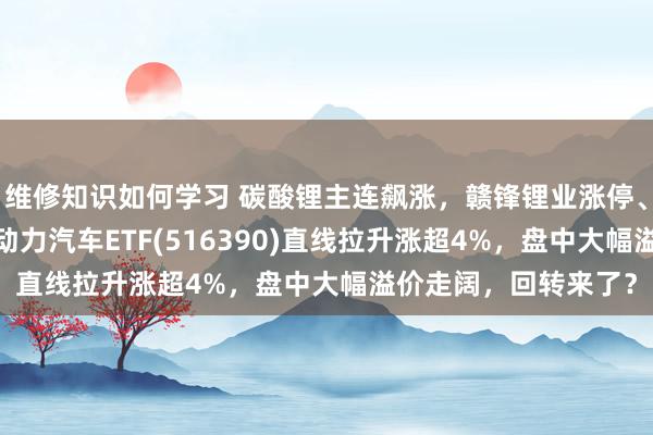 维修知识如何学习 碳酸锂主连飙涨，赣锋锂业涨停、宁德时间涨3%，新动力汽车ETF(516390)直线拉升涨超4%，盘中大幅溢价走阔，回转来了？