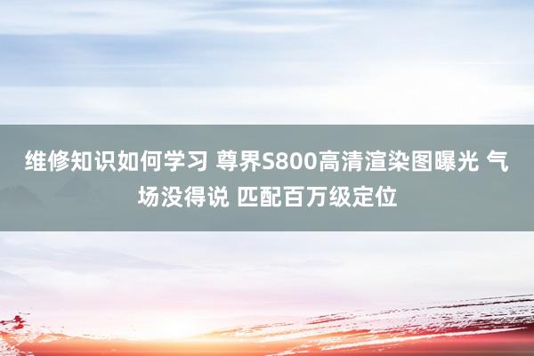 维修知识如何学习 尊界S800高清渲染图曝光 气场没得说 匹配百万级定位