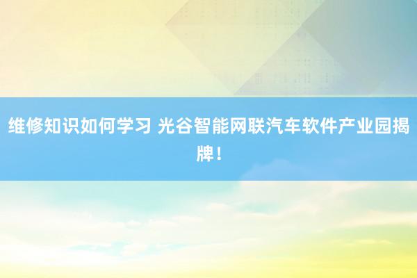 维修知识如何学习 光谷智能网联汽车软件产业园揭牌！