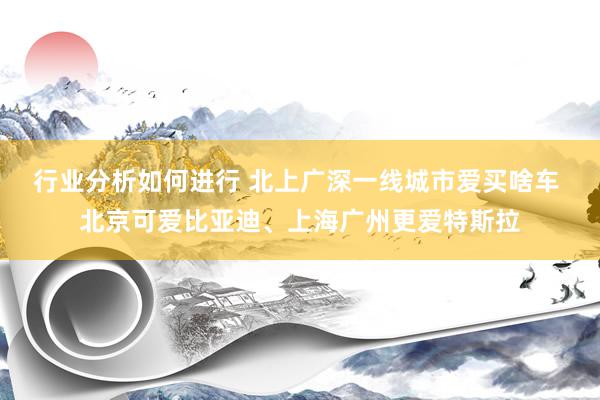 行业分析如何进行 北上广深一线城市爱买啥车 北京可爱比亚迪、上海广州更爱特斯拉