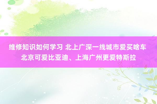 维修知识如何学习 北上广深一线城市爱买啥车 北京可爱比亚迪、上海广州更爱特斯拉