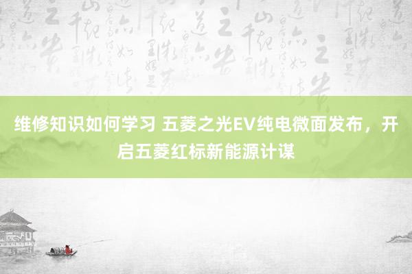 维修知识如何学习 五菱之光EV纯电微面发布，开启五菱红标新能源计谋