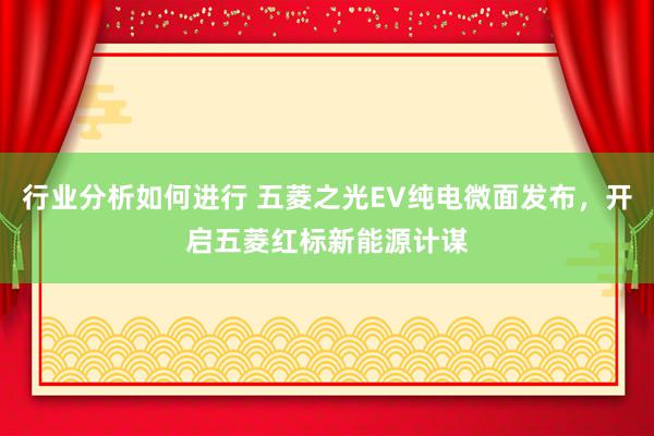 行业分析如何进行 五菱之光EV纯电微面发布，开启五菱红标新能源计谋