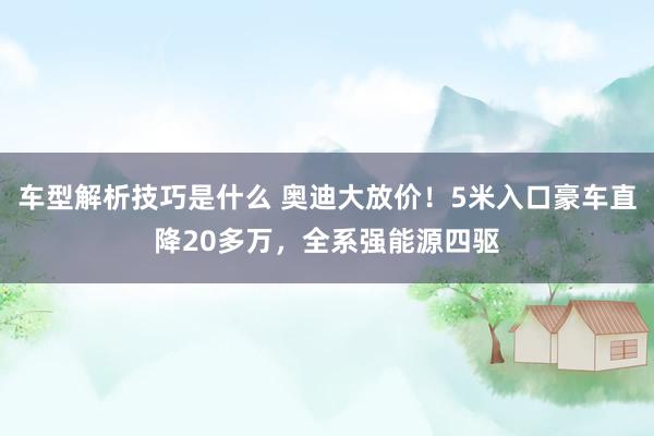 车型解析技巧是什么 奥迪大放价！5米入口豪车直降20多万，全系强能源四驱