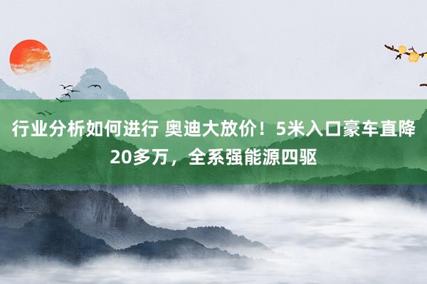 行业分析如何进行 奥迪大放价！5米入口豪车直降20多万，全系强能源四驱