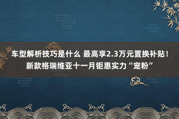 车型解析技巧是什么 最高享2.3万元置换补贴！新款格瑞维亚十一月钜惠实力“宠粉”