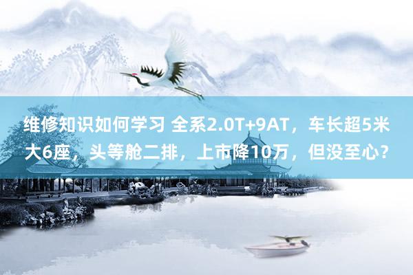 维修知识如何学习 全系2.0T+9AT，车长超5米大6座，头等舱二排，上市降10万，但没至心？