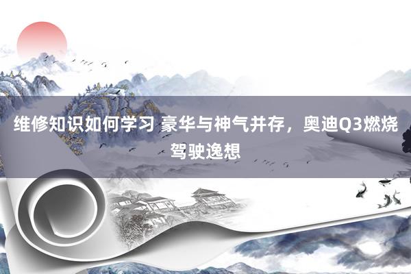 维修知识如何学习 豪华与神气并存，奥迪Q3燃烧驾驶逸想