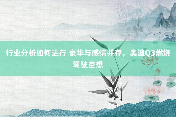 行业分析如何进行 豪华与感情并存，奥迪Q3燃烧驾驶空想