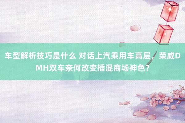 车型解析技巧是什么 对话上汽乘用车高层，荣威DMH双车奈何改变插混商场神色？