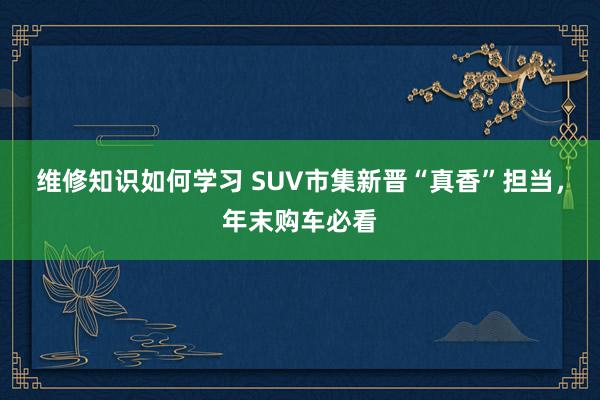 维修知识如何学习 SUV市集新晋“真香”担当，年末购车必看