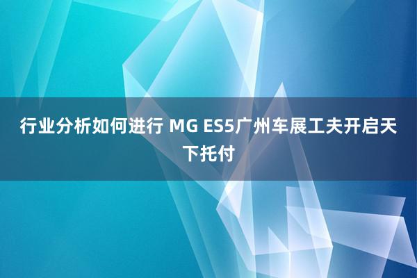 行业分析如何进行 MG ES5广州车展工夫开启天下托付