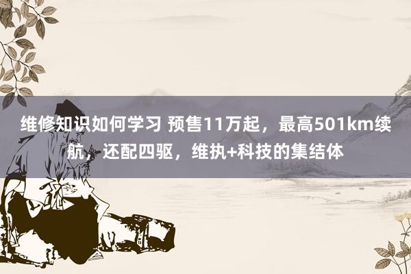 维修知识如何学习 预售11万起，最高501km续航，还配四驱，维执+科技的集结体