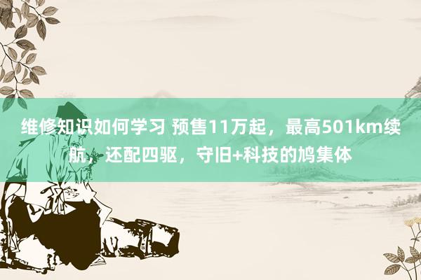 维修知识如何学习 预售11万起，最高501km续航，还配四驱，守旧+科技的鸠集体