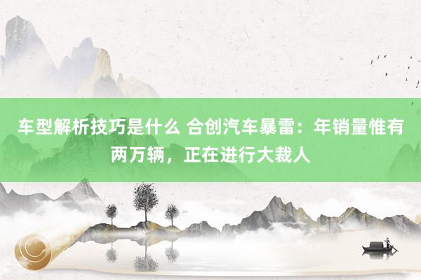 车型解析技巧是什么 合创汽车暴雷：年销量惟有两万辆，正在进行大裁人