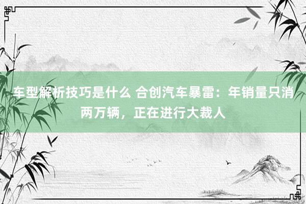 车型解析技巧是什么 合创汽车暴雷：年销量只消两万辆，正在进行大裁人