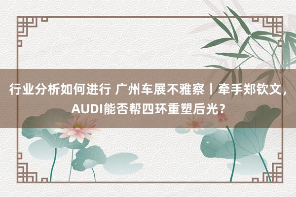 行业分析如何进行 广州车展不雅察丨牵手郑钦文，AUDI能否帮四环重塑后光？