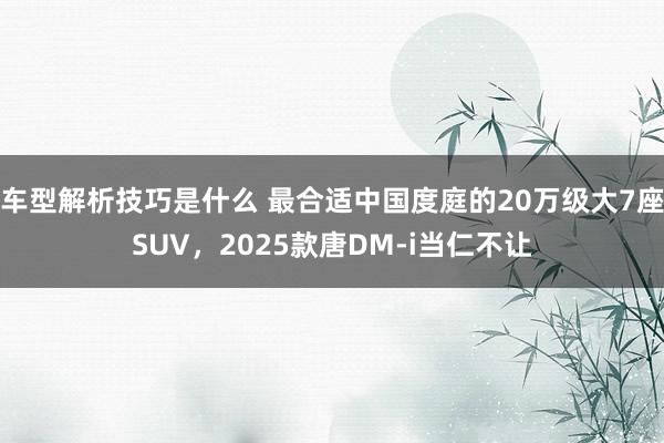 车型解析技巧是什么 最合适中国度庭的20万级大7座SUV，2025款唐DM-i当仁不让