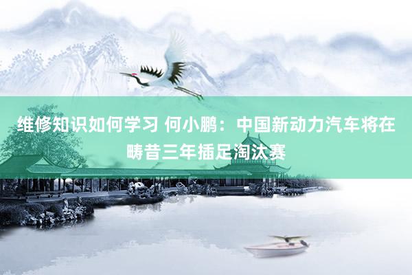 维修知识如何学习 何小鹏：中国新动力汽车将在畴昔三年插足淘汰赛