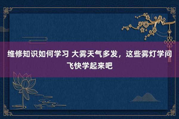 维修知识如何学习 大雾天气多发，这些雾灯学问飞快学起来吧