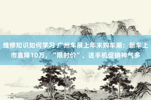 维修知识如何学习 广州车展上年末购车潮：新车上市直降10万，“限时价”、送手机促销神气多