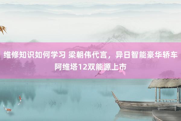 维修知识如何学习 梁朝伟代言，异日智能豪华轿车阿维塔12双能源上市