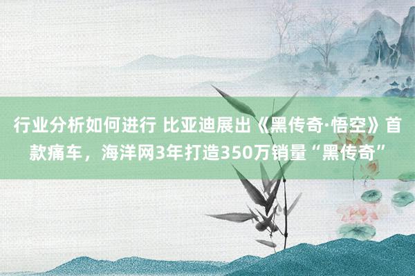 行业分析如何进行 比亚迪展出《黑传奇·悟空》首款痛车，海洋网3年打造350万销量“黑传奇”