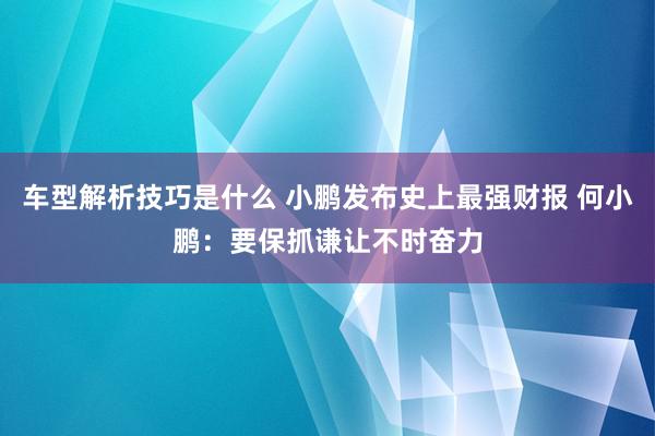 车型解析技巧是什么 小鹏发布史上最强财报 何小鹏：要保抓谦让不时奋力