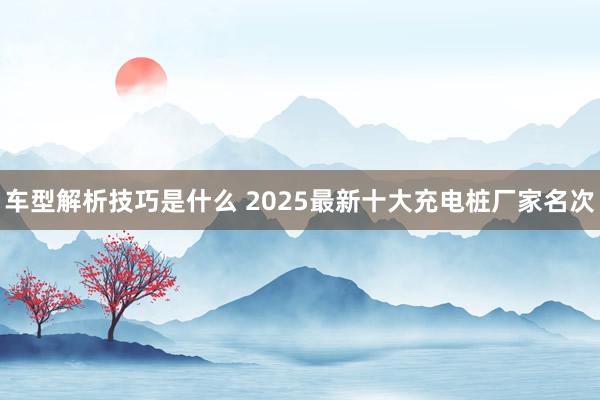 车型解析技巧是什么 2025最新十大充电桩厂家名次