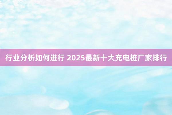 行业分析如何进行 2025最新十大充电桩厂家排行