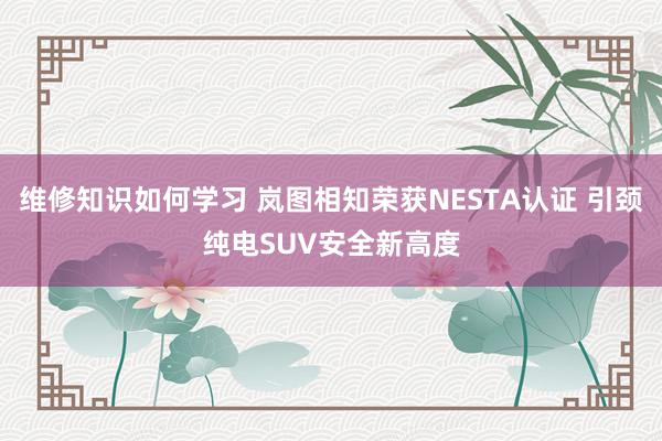 维修知识如何学习 岚图相知荣获NESTA认证 引颈纯电SUV安全新高度