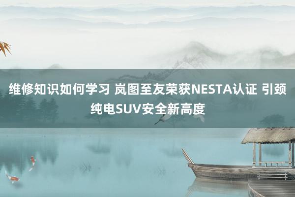 维修知识如何学习 岚图至友荣获NESTA认证 引颈纯电SUV安全新高度