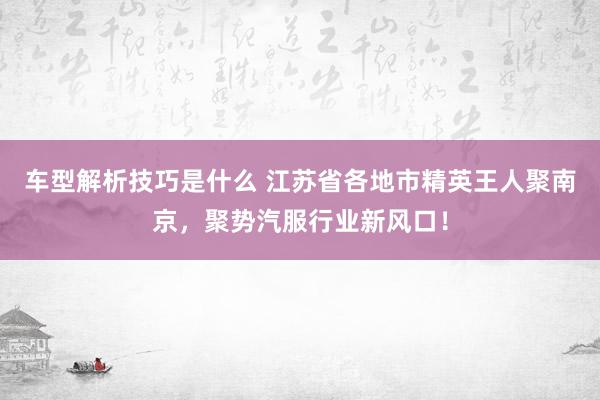 车型解析技巧是什么 江苏省各地市精英王人聚南京，聚势汽服行业新风口！