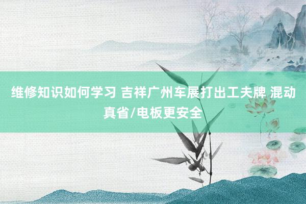 维修知识如何学习 吉祥广州车展打出工夫牌 混动真省/电板更安全