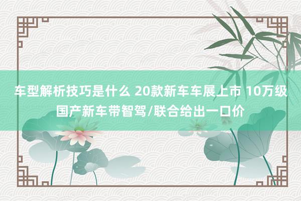 车型解析技巧是什么 20款新车车展上市 10万级国产新车带智驾/联合给出一口价