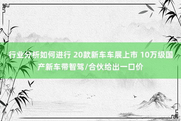 行业分析如何进行 20款新车车展上市 10万级国产新车带智驾/合伙给出一口价