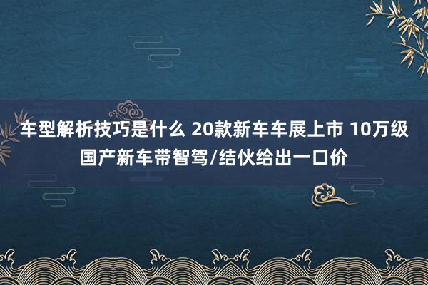 车型解析技巧是什么 20款新车车展上市 10万级国产新车带智驾/结伙给出一口价