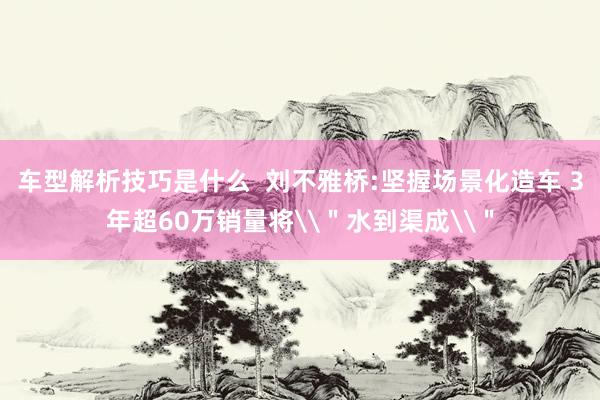 车型解析技巧是什么  刘不雅桥:坚握场景化造车 3年超60万销量将\＂水到渠成\＂