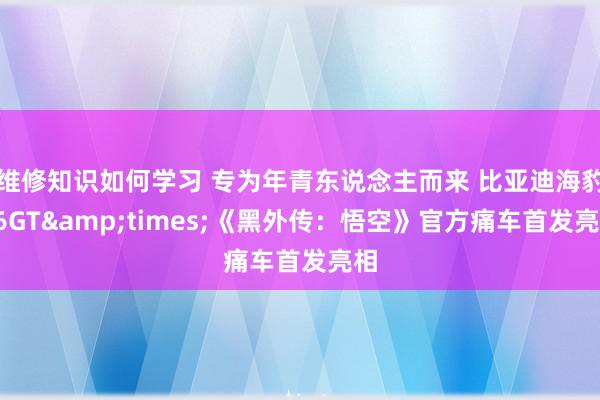 维修知识如何学习 专为年青东说念主而来 比亚迪海豹06GT&times;《黑外传：悟空》官方痛车首发亮相