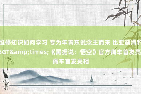 维修知识如何学习 专为年青东说念主而来 比亚迪海豹06GT&times;《黑据说：悟空》官方痛车首发亮相